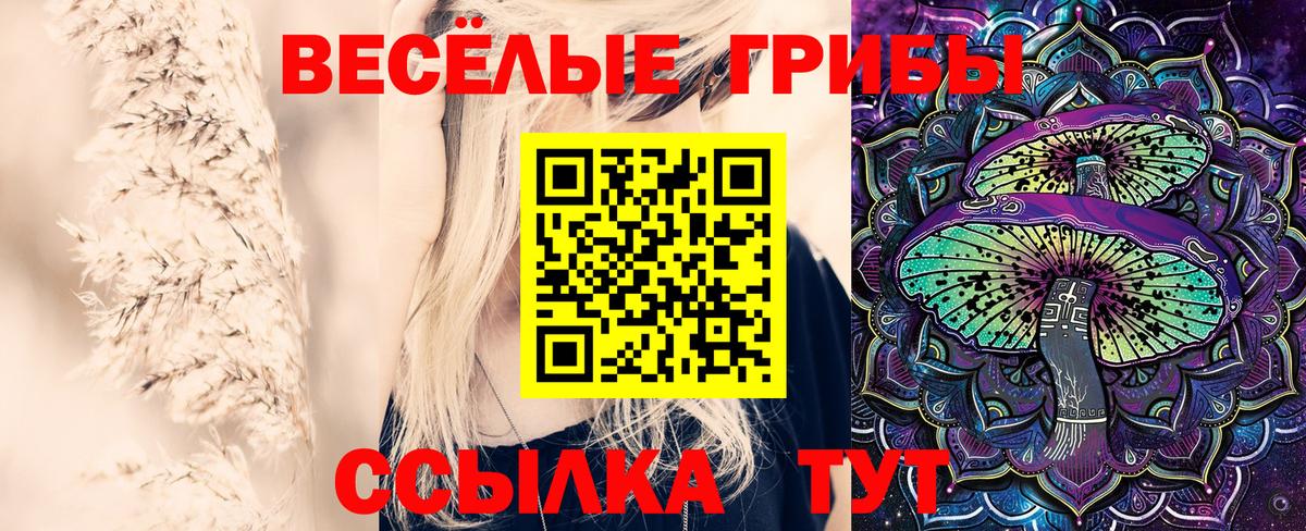 Москва  Галлюциногенные грибы Magic Shrooms  Вход с VPN 